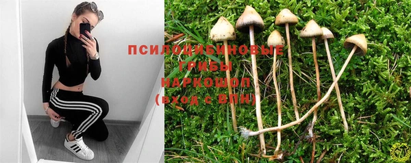 синтетический гашиш Белокуриха