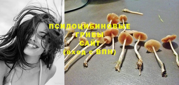 синтетический гашиш Белокуриха